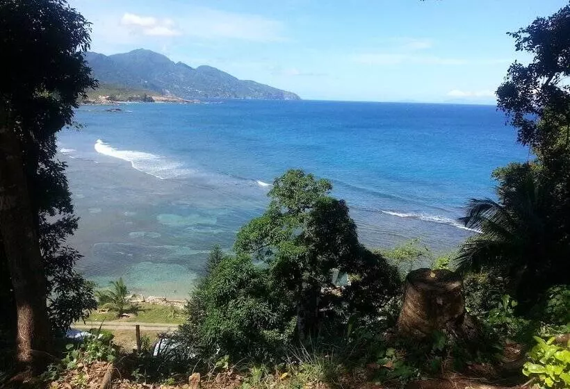 پانسیون The Nixon's Bay Side Mangrove Inn