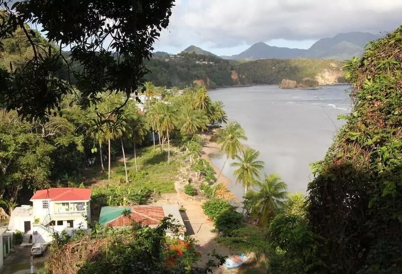 پانسیون The Nixon's Bay Side Mangrove Inn