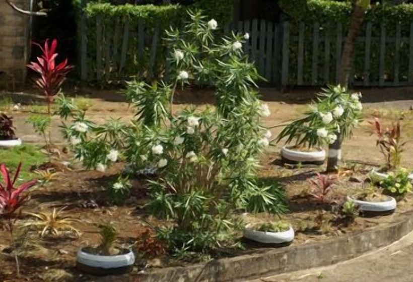 Pansiyon The Nixon's Bay Side Mangrove Inn