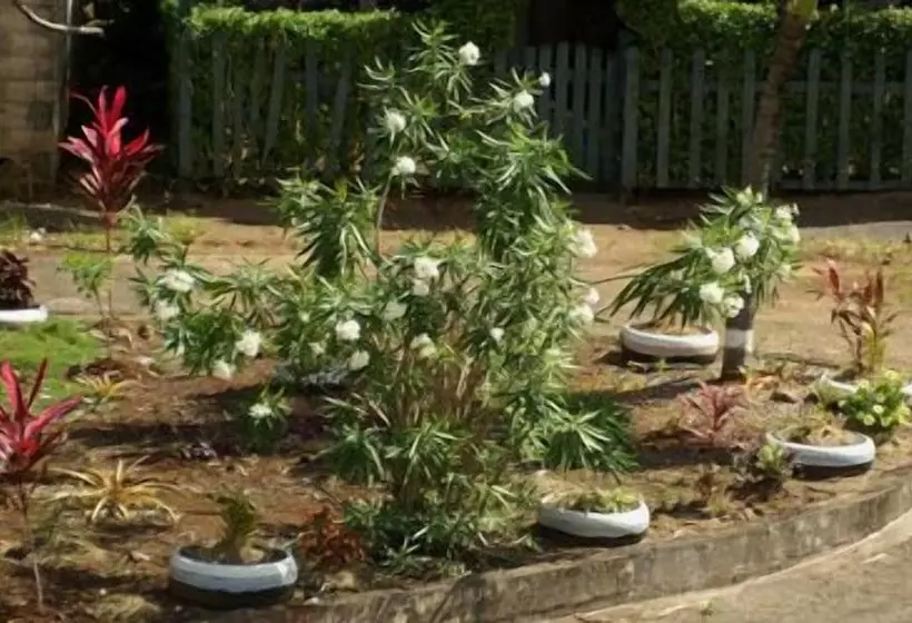 پانسیون The Nixon's Bay Side Mangrove Inn