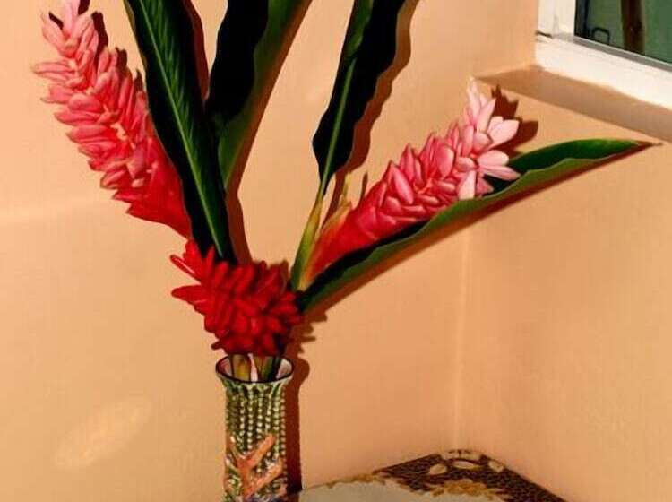 Pansiyon The Nixon's Bay Side Mangrove Inn