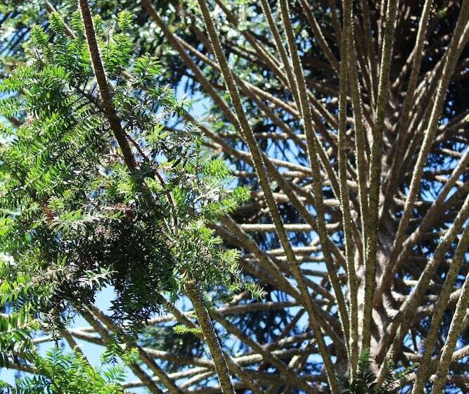 Belle's At Montville