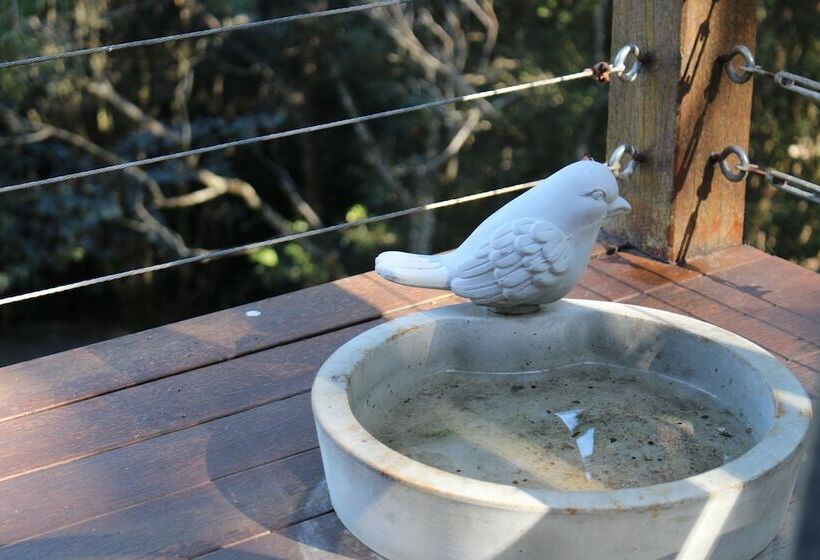 Belle's At Montville