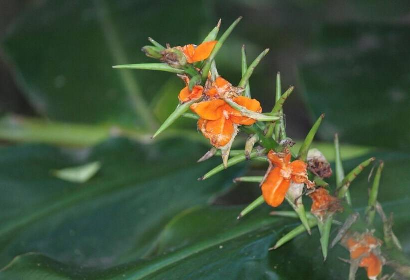 Belle's At Montville