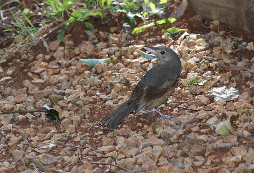 Belle's At Montville