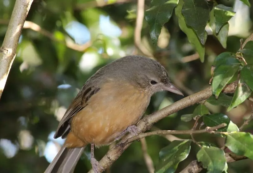 Belle's At Montville