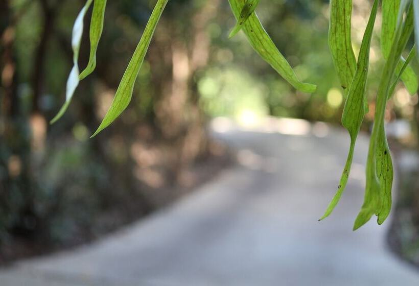 Belle's At Montville