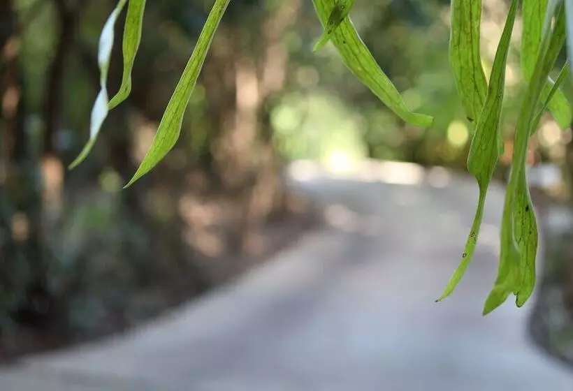 Belle's At Montville