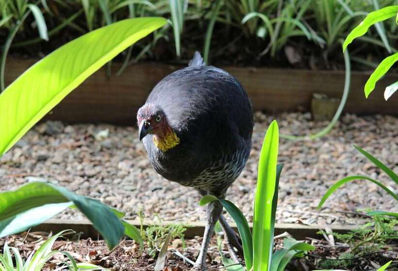 Belle's At Montville