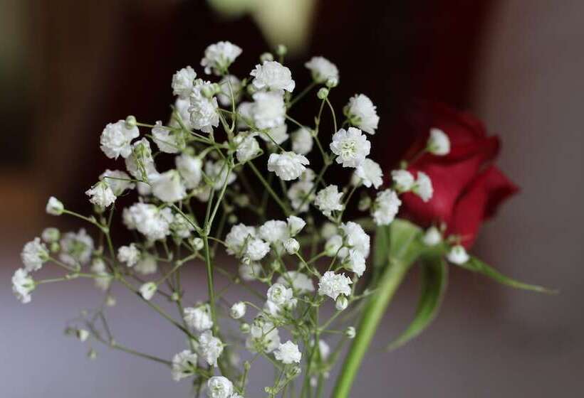 Belle's At Montville