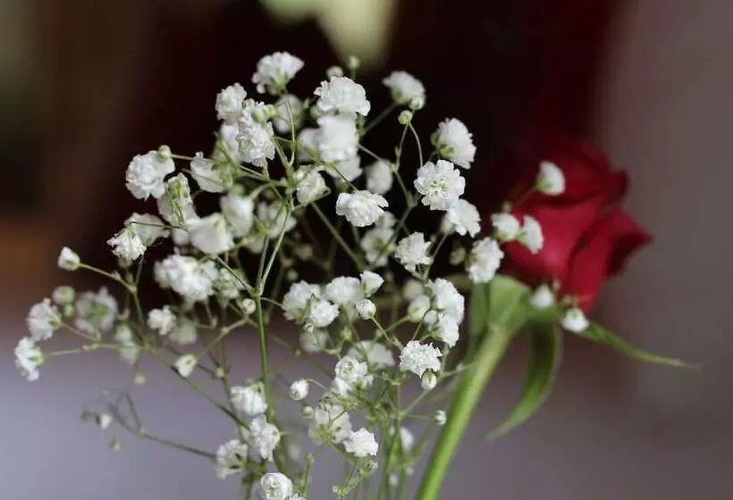 Belle's At Montville