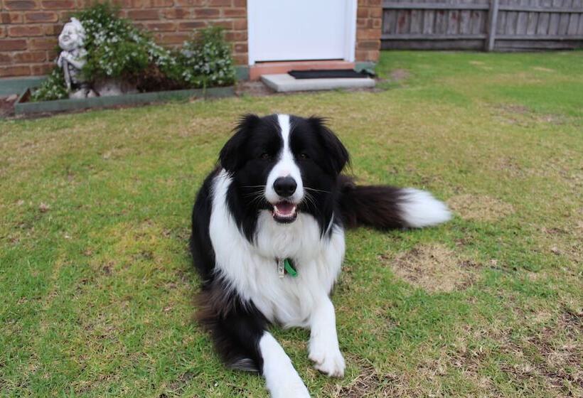 ホテル Golden Terrace Holiday Park