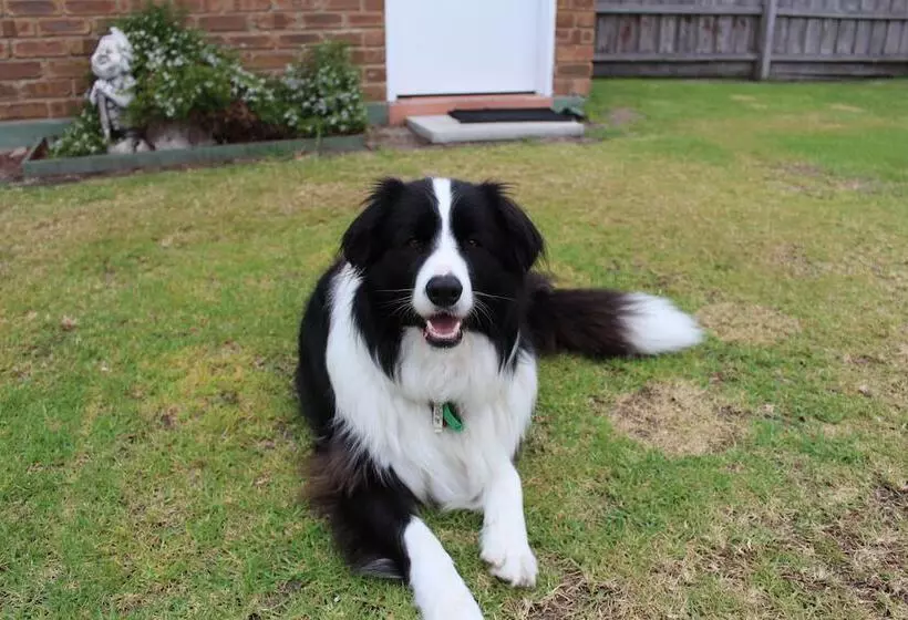 Hotelli Golden Terrace Holiday Park