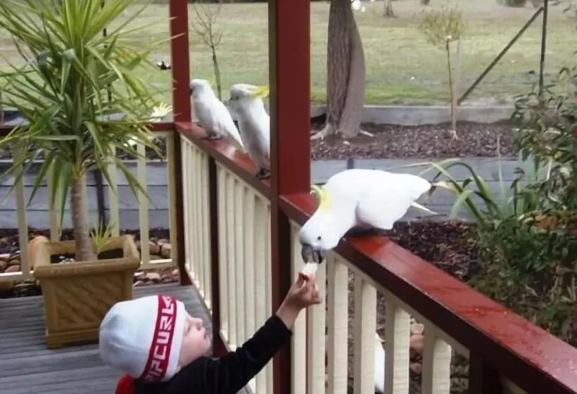 ホテル Halls Gap Valley Lodges