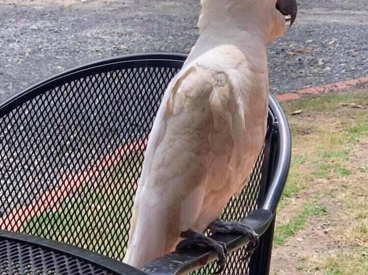 酒店 Halls Gap Valley Lodges