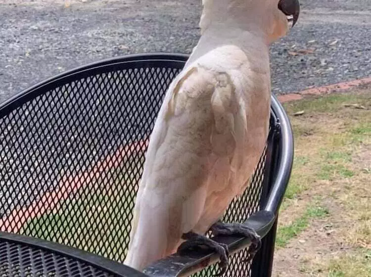 ホテル Halls Gap Valley Lodges