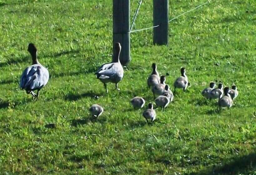 酒店 Halls Gap Valley Lodges