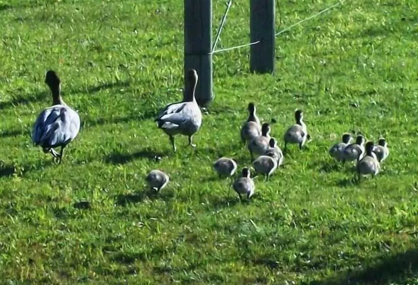 ホテル Halls Gap Valley Lodges