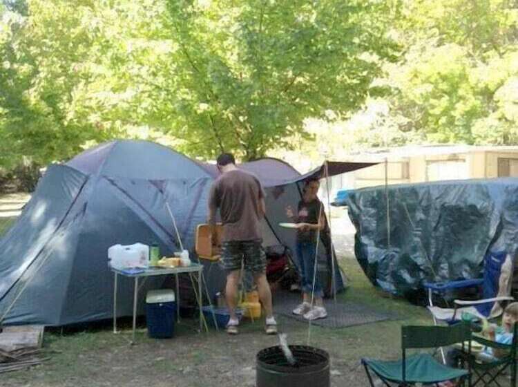 호텔 Mt Buffalo Caravan Park