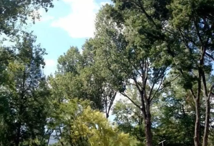 ホテル Mt Buffalo Caravan Park