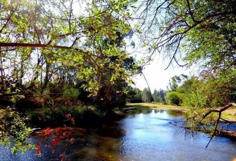 ホテル Mt Buffalo Caravan Park