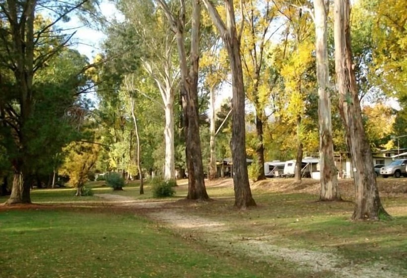 호텔 Mt Buffalo Caravan Park