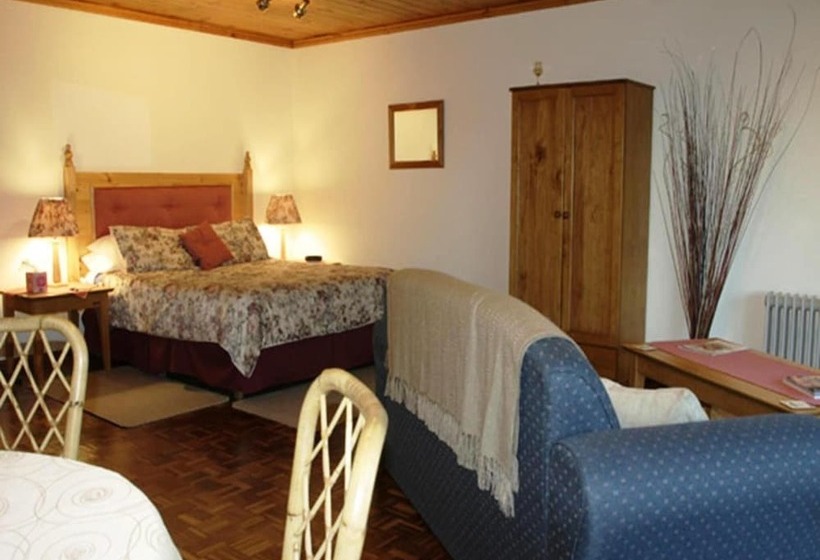 汽车旅馆  Tweed Valley Lodge