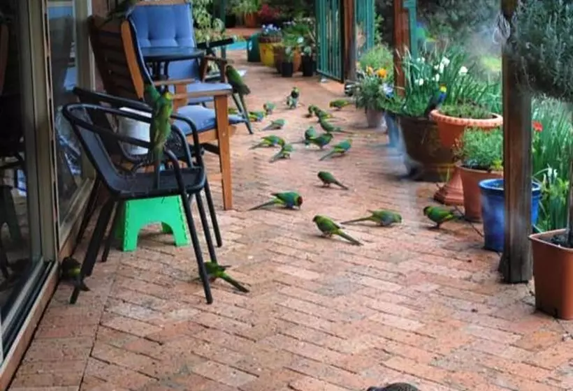 モーテル Tweed Valley Lodge