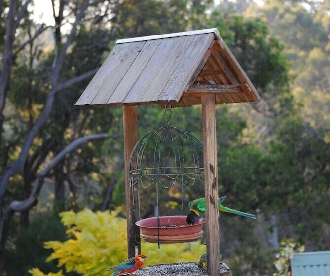 汽车旅馆  Tweed Valley Lodge