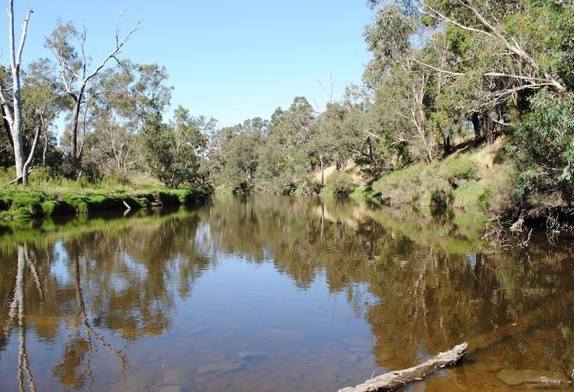 汽车旅馆  Tweed Valley Lodge