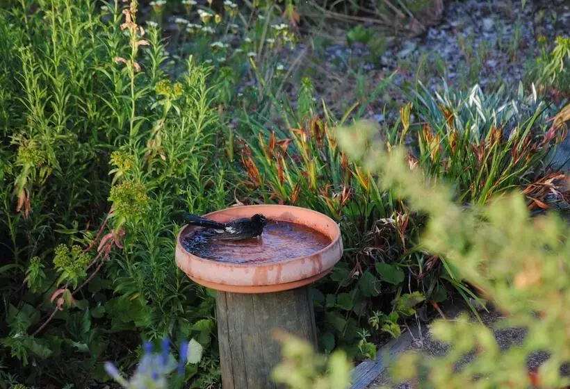 モーテル Tweed Valley Lodge