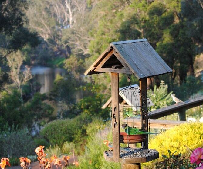 汽车旅馆  Tweed Valley Lodge