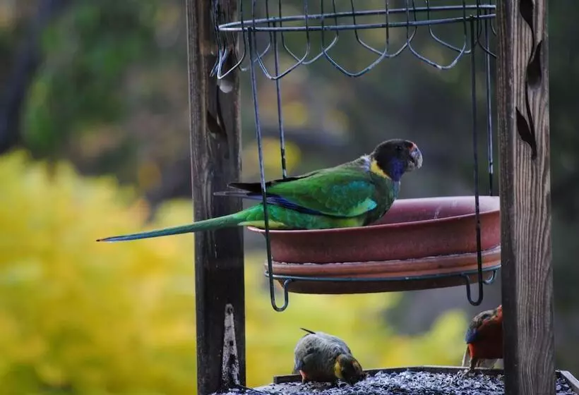 モーテル Tweed Valley Lodge