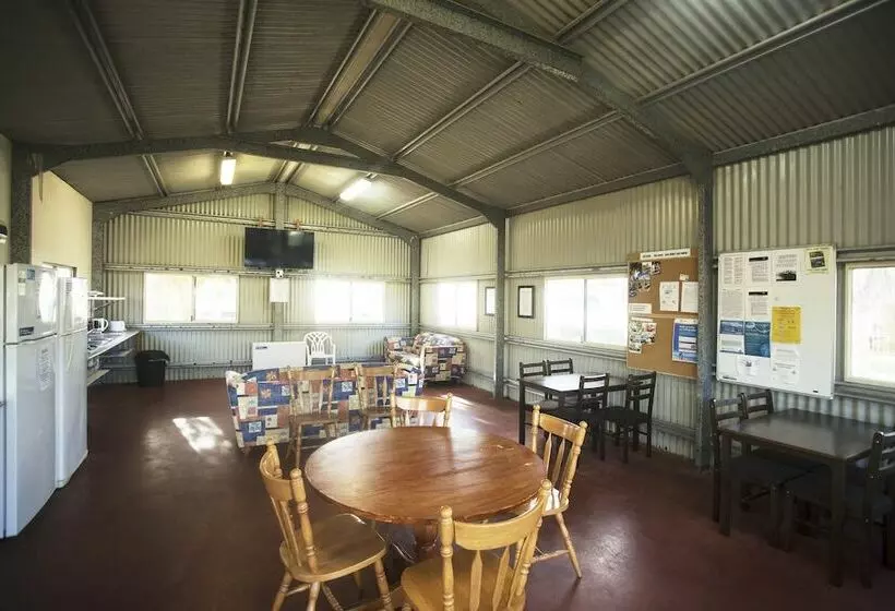 リゾートホテル Big4 Dongara Denison Beach Holiday Park