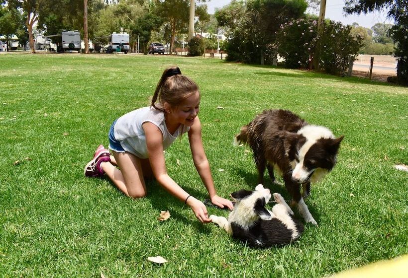 リゾートホテル Rivergardens Holiday Park Mildura