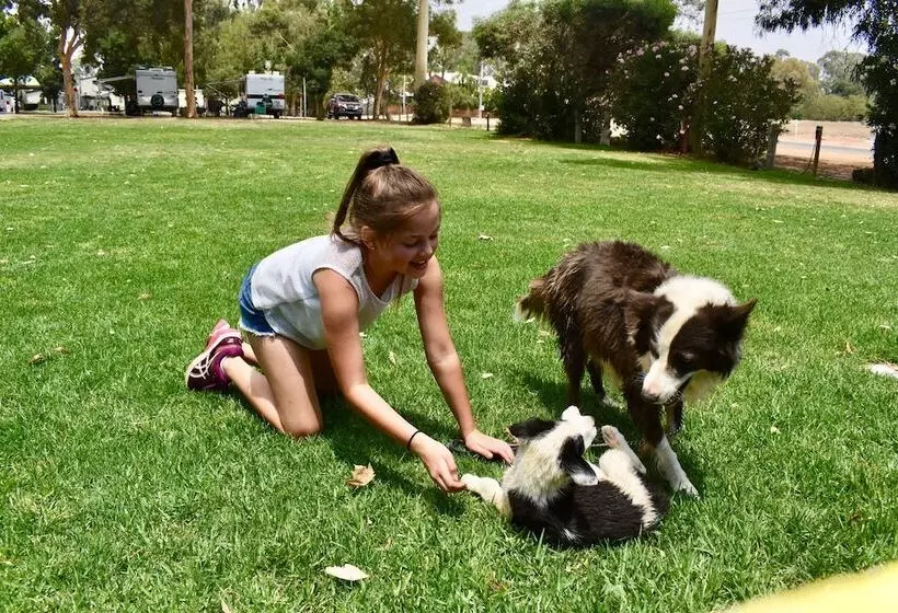 リゾートホテル Rivergardens Holiday Park Mildura