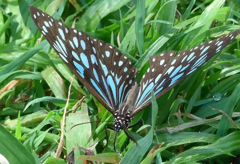 Sunshine Valley Cottages