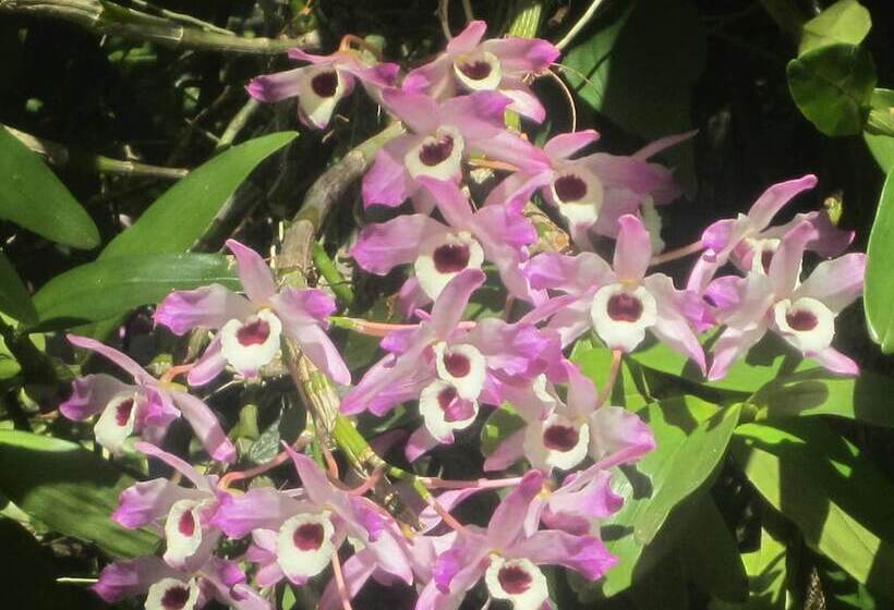 Sunshine Valley Cottages