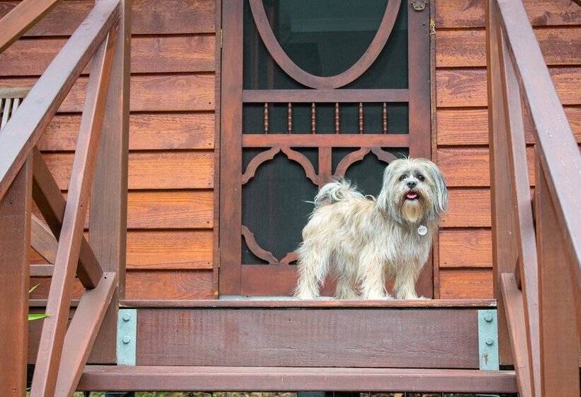Sunshine Valley Cottages