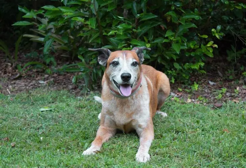 Sunshine Valley Cottages