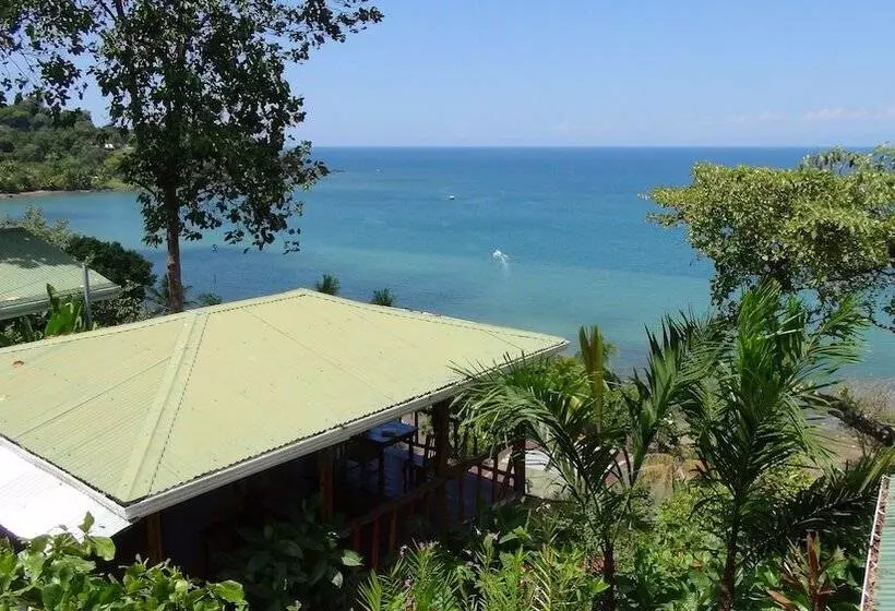 Hotelli Las Cotingas Lodge