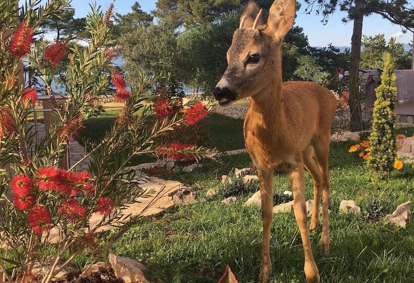 فندق Mare & Mons Deluxe Apartments