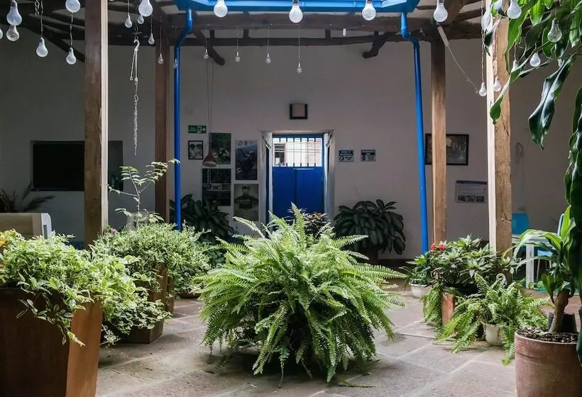 Hotelli Meraki Boutique Hostel