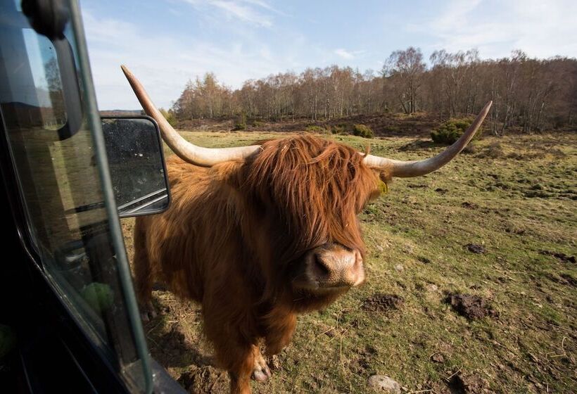 2 Bed Cottage With Hot Tub At Loch Achilty, Nc500