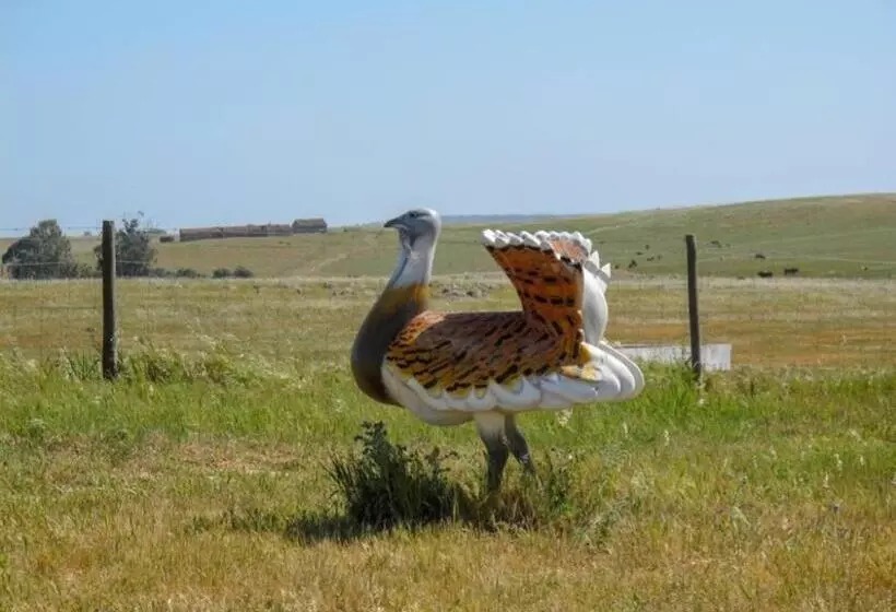 ベッドアンドブレックファースト Abetarda Cc