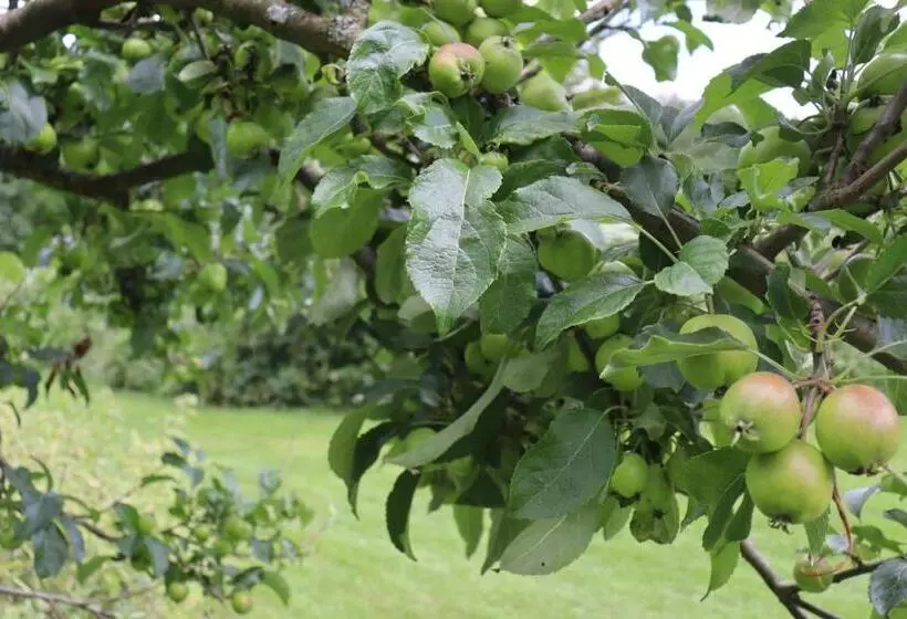 Aamiaismajoitus (B&B) South Downs Eco Lodge & Camping