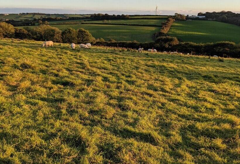 Hotel Immaculate Lotus Belle Tent Retreat, North Devon