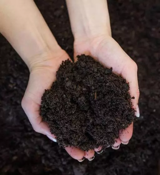 فندق Windsor Spa