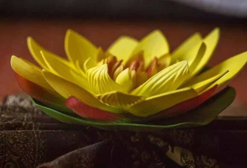 فندق Windsor Spa