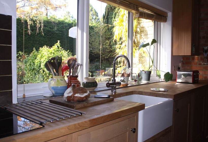 تختخواب و صبحانه Sandford Meadow Guest House